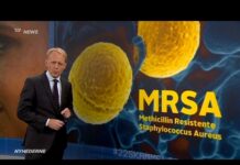 snyder sex videoer